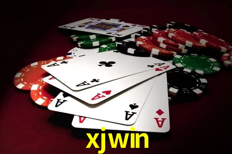 Interface Premium xjwin